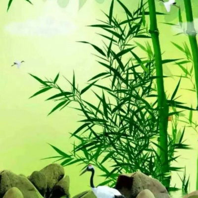 妈妈头像唯美风景花草中年人爸爸妈妈喜欢的头像