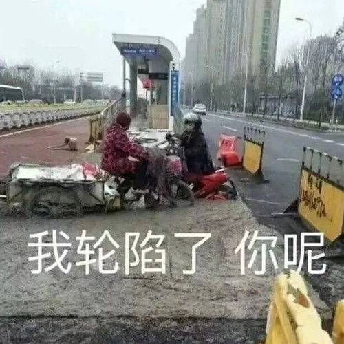 文