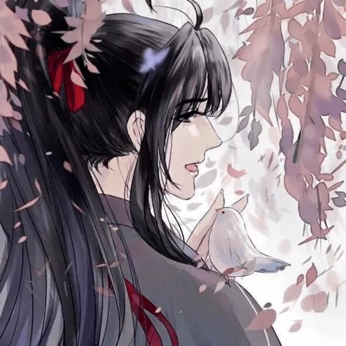 头像天官赐福and魔道祖师