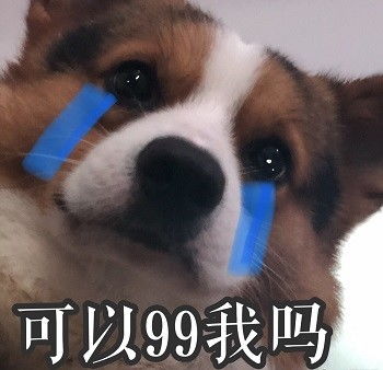心心念念的小柯基的可爱表情包