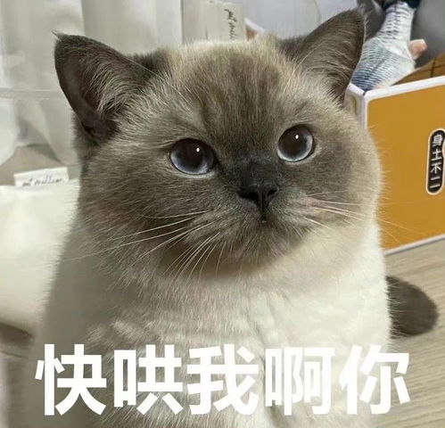 朋友圈刷到过哪些超级沙雕的肯德基疯狂星期四文案
