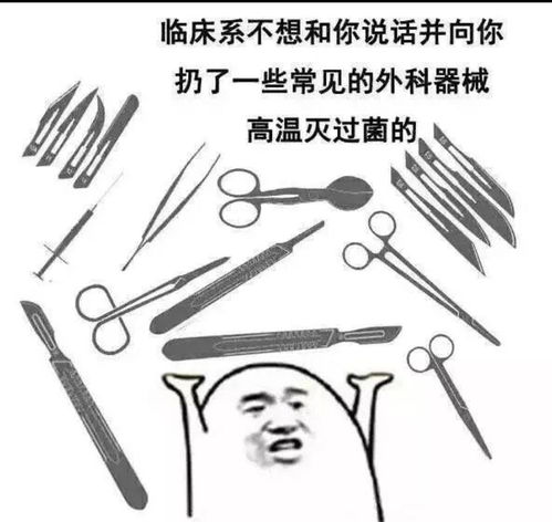 女孩子学医还是学法