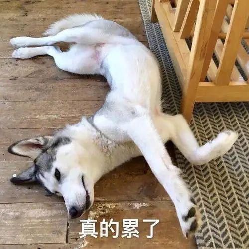 清华杀妻男这种家境,为啥还会去湾区做码农啊