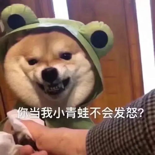 傻狗表情要不你还是把我删了吧
