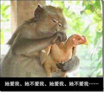 土地,快告诉俺老孙,俺的金箍,棒在哪里