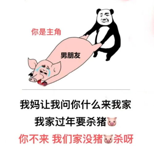 熊猫头表情包i做人呢,最重要的就是开心了