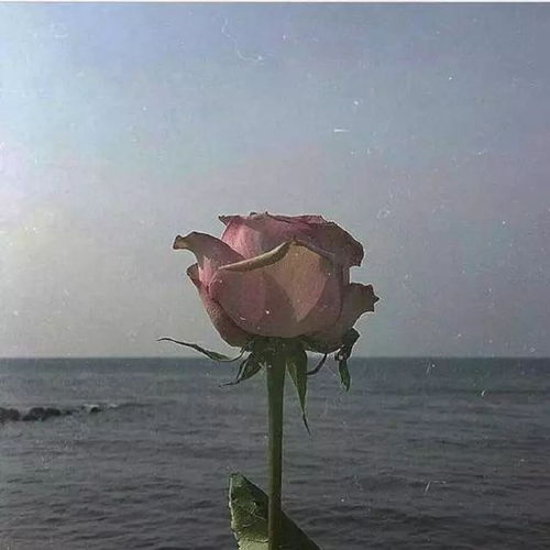 背景图丨等你今天,明天,每一天