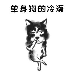 打包你的爱给她