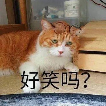 春节回村的喵星人,有的血脉觉醒,有的早已开始摆烂