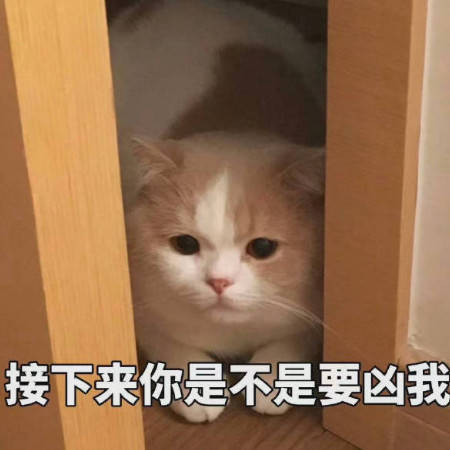 鬼畜版搞笑表情包身为靓仔的我已经习惯了孤独