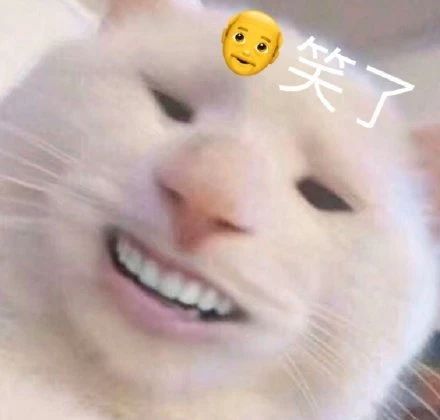 猫和老鼠表情包图片最新可爱搞笑热门