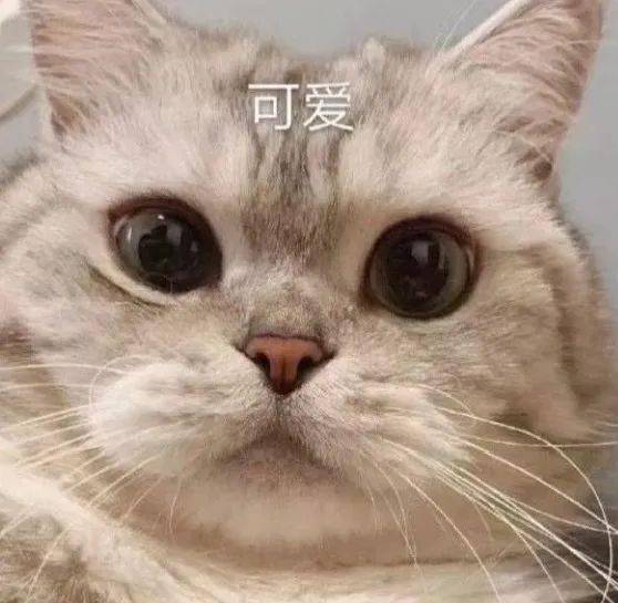 搞笑表情包沙雕图片头像