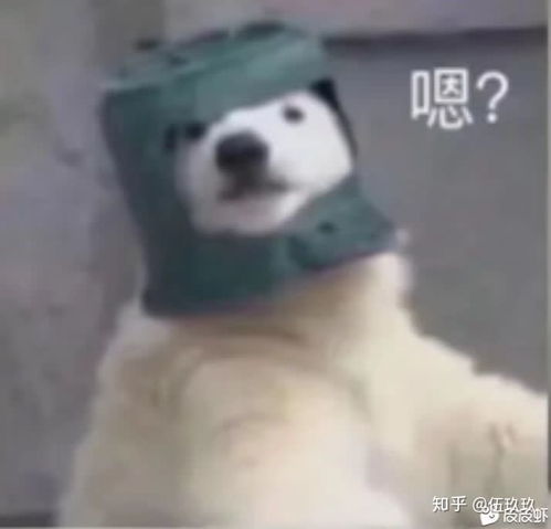 北极熊真熊表情包大噶们还有没有哇呜呜呜我好想要啊呜呜呜