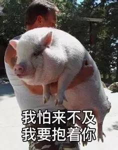 李小璐2米宽的双眼皮竟然变窄了这样的网红脸逆袭你见过吗