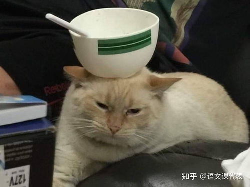 有什么让人一看就觉得这个人好有意思啊的文案
