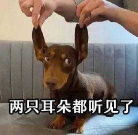 15717个幸运名额深圳九价hpv疫苗2月9日摇号