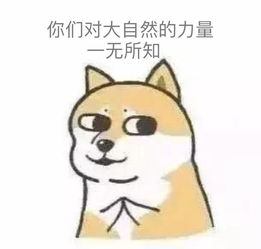 你的爱情鸟已经飞到了麦咭小厨并说了句真香