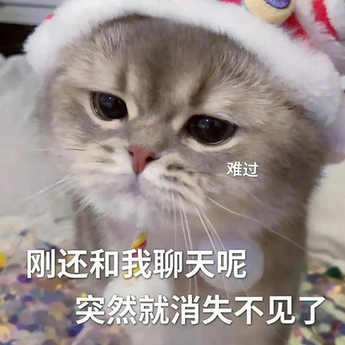 搞笑女专用表情包