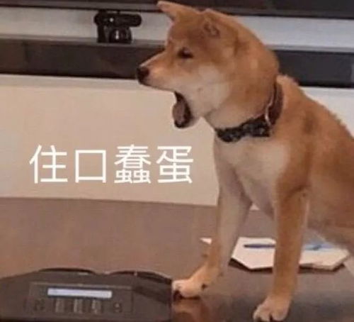 好想糟蹋他