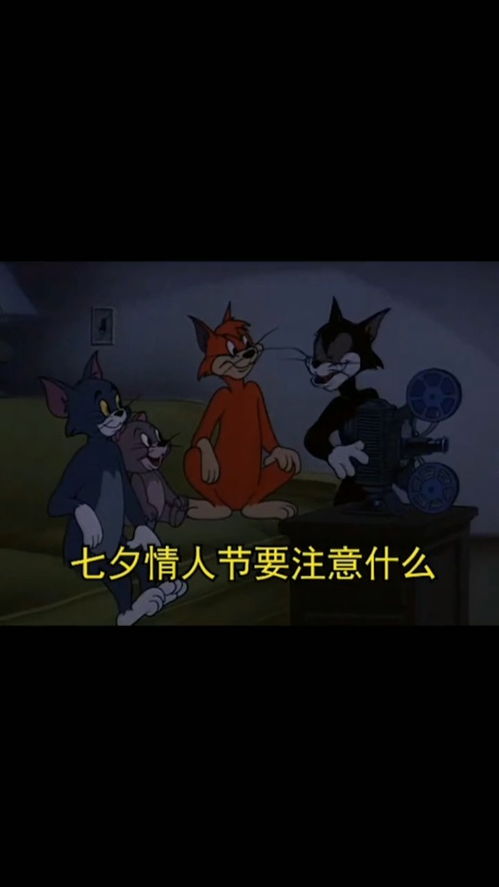 取图主页,提前发布,七夕情人节要注意什么......表情包搞笑视频经典段子情侣夫妻搞笑聊天记录猫和老鼠
