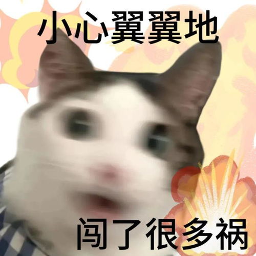 啊我这竹篮打水的爆款人生搞笑表情包合集