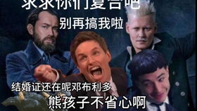 舌尖上的伏地魔哈利波特与沙雕