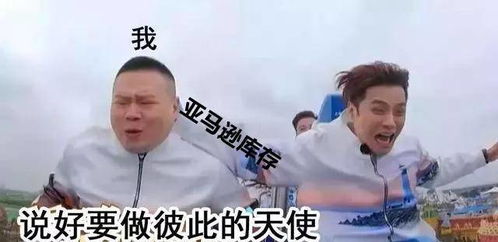 再也不用跪求扩库容了亚马逊多个站点fba库容已提升