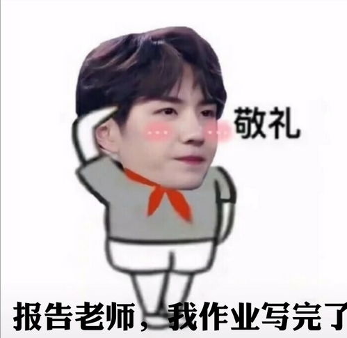 肖战王一博的交作业表情包拿图请点赞,谢堆糖,美图壁纸兴趣社区