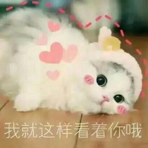 幽默笑话昨天你在沙发上占了我便宜,今天又想在床上占我的便宜