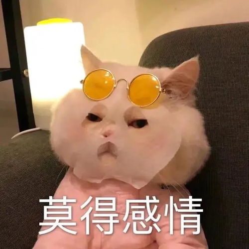 北理视传考研的理论课有书目推荐吗当然有看这里