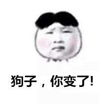 狗子你不爱我了吗表情包