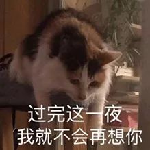 表情sir过完这一夜,我就不会再想你