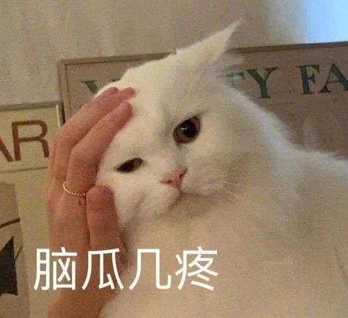 幽默笑话开车带妹子去相亲,三个红绿灯的路程,我开了半个小时