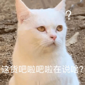 表情包搞笑沙雕gif开心笑话