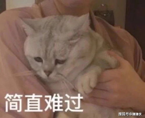 可爱表情包图片我生气的时候,会这样疯狂摇头