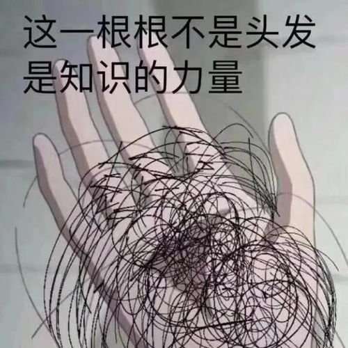表情包出来聊天啊,搞得自己很忙一样