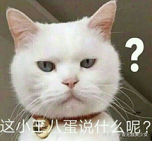 你有哪些非常搞笑的表情包