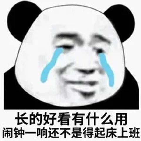 表情包真是太棒了,什么都没学到