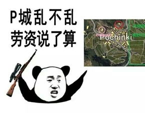 你见到过哪些笑到不行表情包