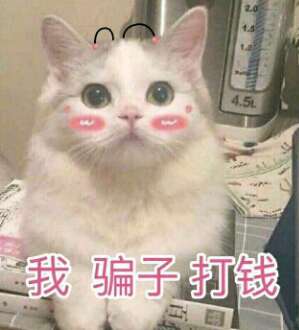 小猫咪表情包,简直可爱炸了百度贴吧超可爱猫咪表情包