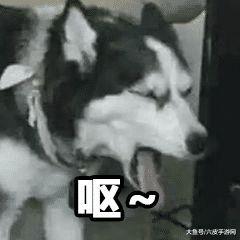 王者荣耀嫦娥后羿官配狗粮buff加1314双抗,排位重开系统被恶意利用