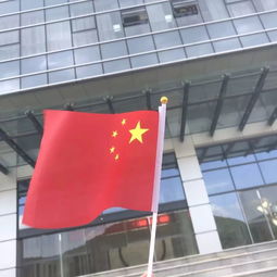 带70的微信头像国旗