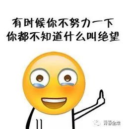 狗年最毒的20句鸡汤,看完整个人精神多了