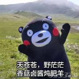 吃货眼里的世界表情包图片下载吃货眼里的世界搞笑表情包完整无水印版下载9553下载