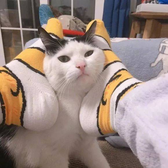 一批个性微信头像