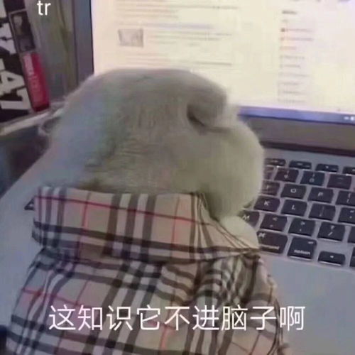 搞笑头像之表情包拒收