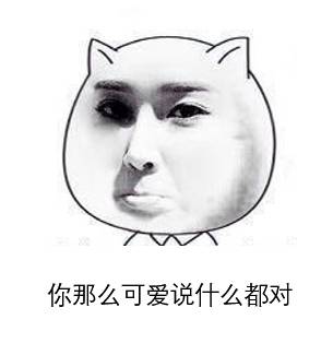 表情包加什么文字搞笑单身