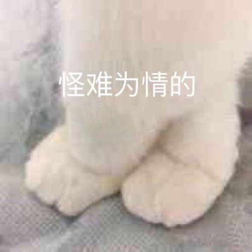 有没有什么十分搞笑的沙雕文案
