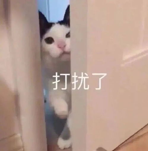 特别搞笑的表情包起床