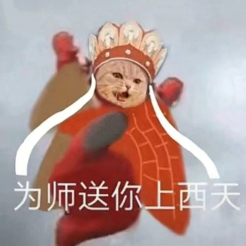 糖糖好可爱好香啊